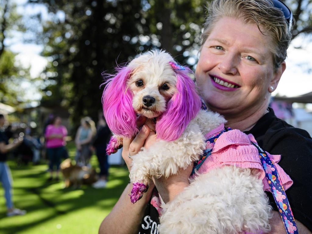 Blossom Ross with Lulu at the Million Paws Walk in Queens Park, Sunday, May 25, 2025. Picture: Kevin Farmer