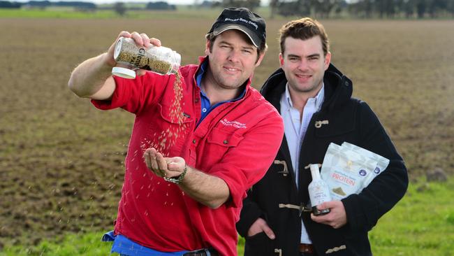 Seed money: Australian Primary Hemp director Charlie Mann (left) and business partner James Hood, who farms sheep and beef at Derrinallum, in western Victoria, aim to farm 300ha of Finola hemp with five growers. Pictures: Zoe Phillips