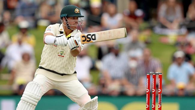 David Warner will play the West Indies in Perth and Adelaide this summer.