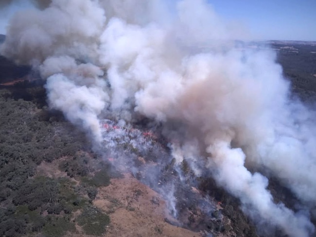 Boho - Stilo's Track Fire. , Today, firefighters are actively working to contain the Boho Stilo’s Track fire in the Strathbogie State Forest near Violet Town. Picture: Facebook : Forest Fire Management Victoria