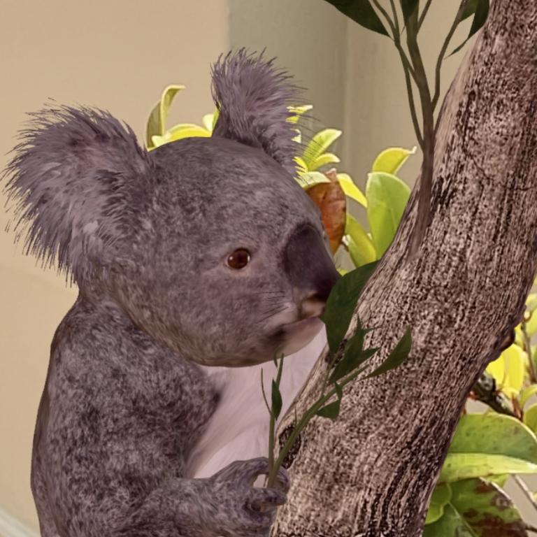 Google has added eight new augmented reality models of native Australian animals.