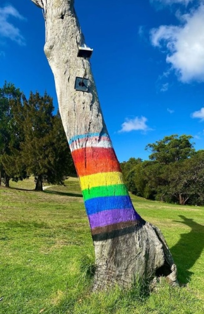 The hollowed out tree has been painted with pride colours for the past three years. Picture: Instagram