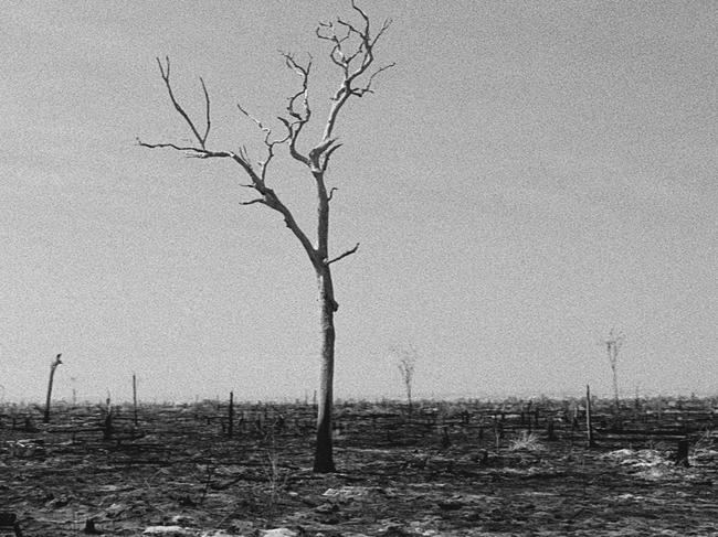 A scene from Richard Mosse's Broken Spectre