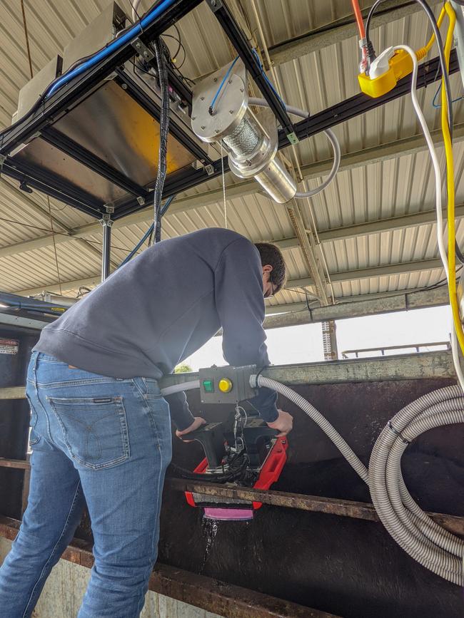 MEQ Live scanning for yield and marbling is seen as a game changer for the beef industry.