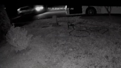 CCTV of a Nissan X-Trail near a party bus, which was set alight on Streeton Drive, Metford, about 3.40am on August 22, 2022. Picture: NSW Police.