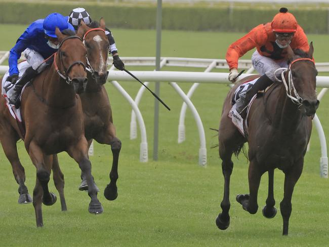 SYDNEY, AUSTRALIA - JANUARY 02: Sam Clipperton on Never Talk (R), wins race 9 the Ranvet Handicap during Sydney Racing on the Kensington track at Royal Randwick Racecourse on January 02, 2021 in Sydney, Australia. (Photo by Mark Evans/Getty Images)