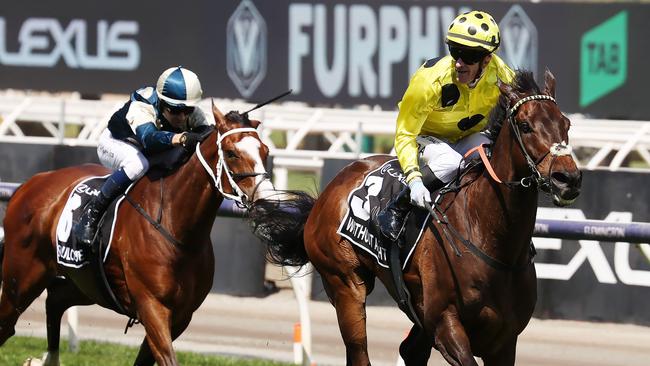 Soulcombe (left) finishing second behind Without A Fight in the Melbourne Cup. Picture: Michael Klein