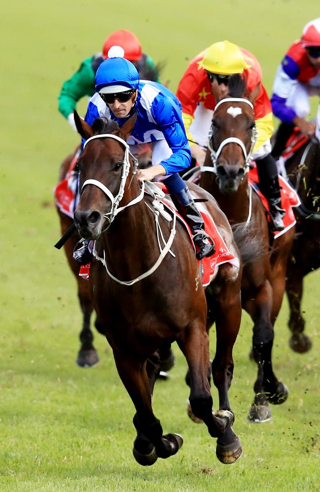 Even before running in Saturday’s Doncaster, super mare Winx is at the prohibitive odds of $1.60 for the Queen Elizabeth Stakes on April 9. Picture: Jenny Evans