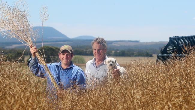 Rob Cameron & his father Andy, harvesting canola, Mount Mercer,  Picture Yuri Kouzmin