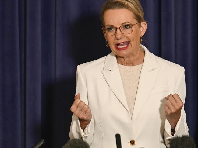 CANBERRA, AUSTRALIA  - NewsWire Photos - May 20, 2025: Leader of the Opposition Sussan Ley holds a press conference at Parliament House in Canberra. Picture: NewsWire / Martin Ollman
