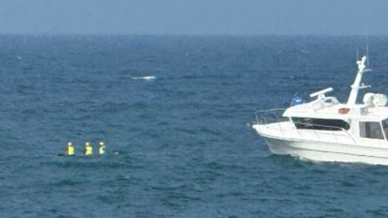 Whale freed after frantic rescue bid off Gold Coast