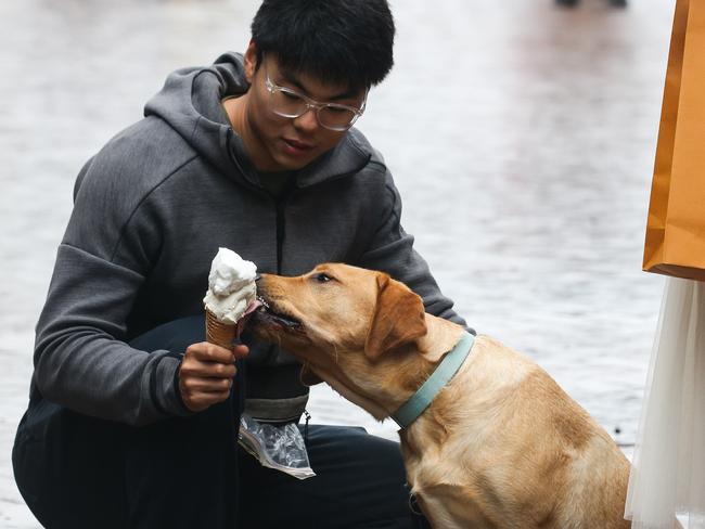 Spoil yourself or your loves ones with an ice cream. Picture: Newscorp Daily Telegraph/ Gaye Gerard