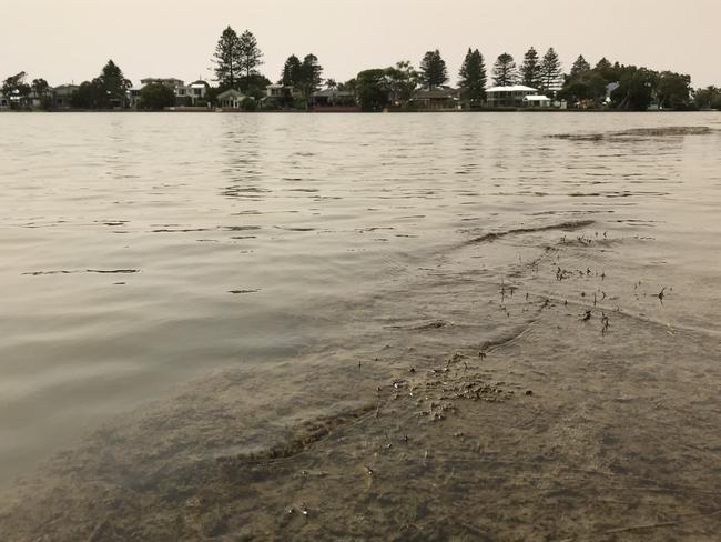  Terrigal Lagoon is regularly rated very poor in water quality testing.