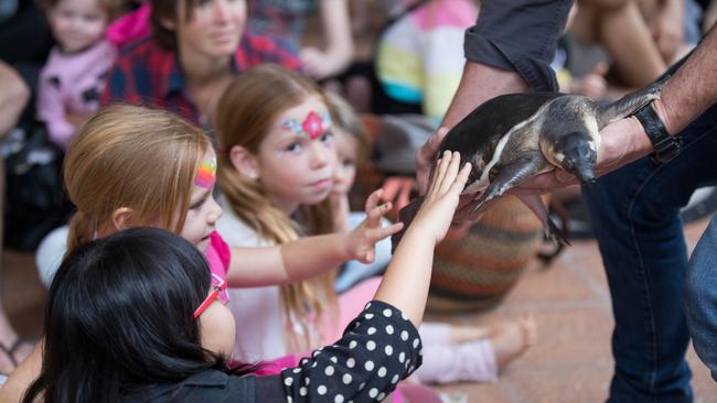 Kids enjoying the Logan Eco Action Festival. Picture: supplied