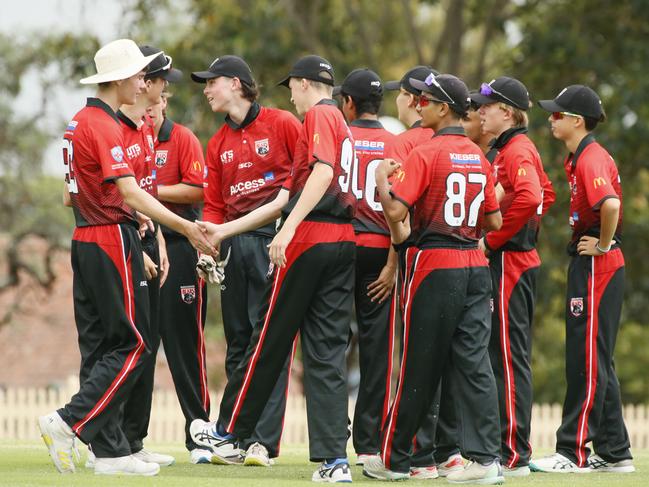 Norths enjoy a wicket at Bon Andrews. Photographer: Warren Gannon Photography