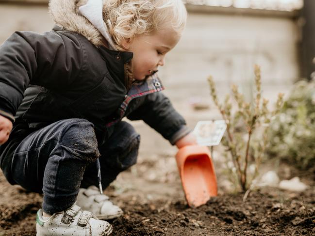 Hands-on’: How kids are learning about bush tucker