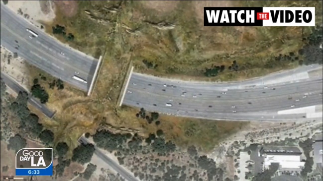 $120 million wildlife crossing being built in Los Angeles (FOX11)