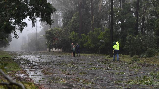 Highfields residents check out the aftermath of TC Alfred as it impacts Toowoomba, Sunday, March 9, 2025. Picture: Kevin Farmer