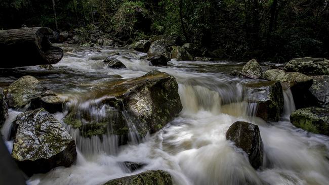 Curtis Falls in Tamborine National Park. Picture: Jerad Williams