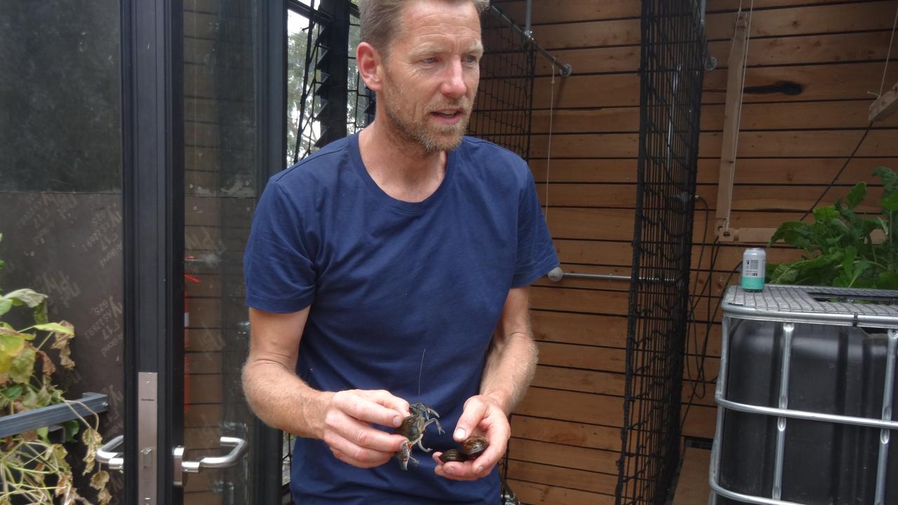 Joost Bakker holding a yabby grown in a tank. Picture: Charis Chang