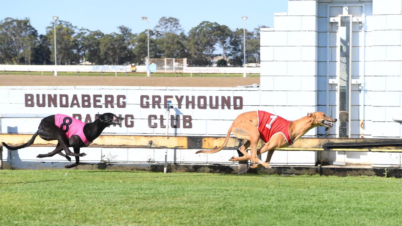 ​The Bundaberg track was reopened in February following a $1.4m upgrade. The state government has reaffirmed its commitment to animal welfare following the death of a greyhound at Bundaberg Greyhound Racing Track in February 2023.