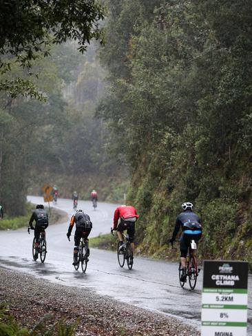 Riders competing in the second Bicycle Network Tasmanian Peaks Challenge. Pictures: CHRIS KIDD