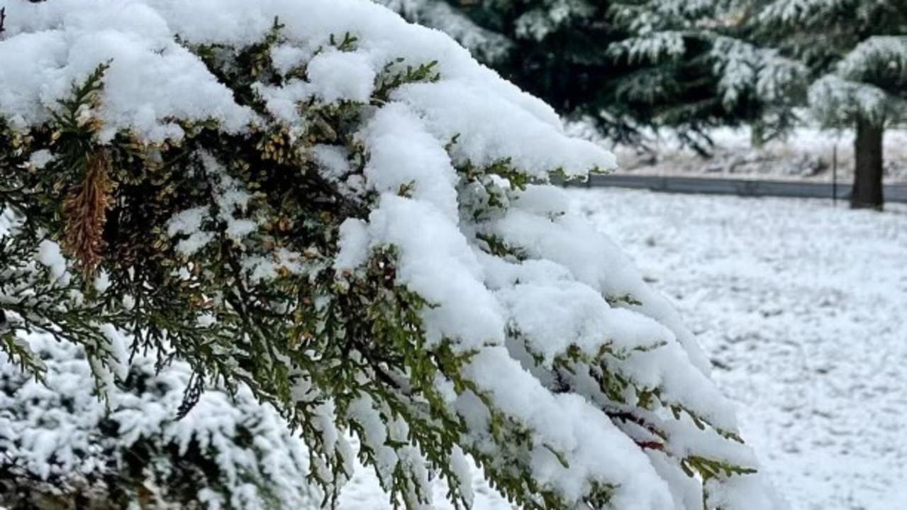 There is a chance of snow falling in Queensland next week. Picture: Chris McFerran SE QLD Weather Photography