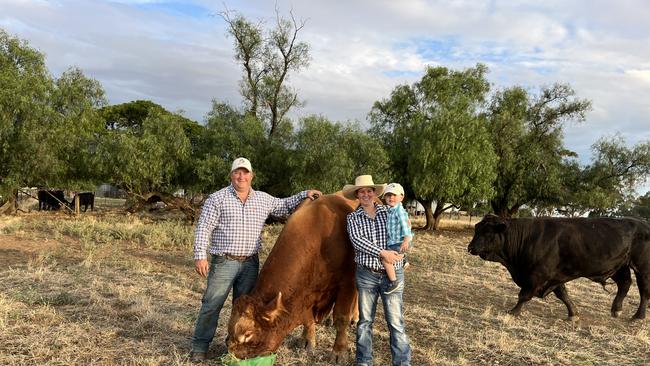 Hayden and Jasmine Green, with son Arthur, 2, from Uranquinty and their Limousin bull Summit Ranch Hand. Picture: Nikki Reynolds