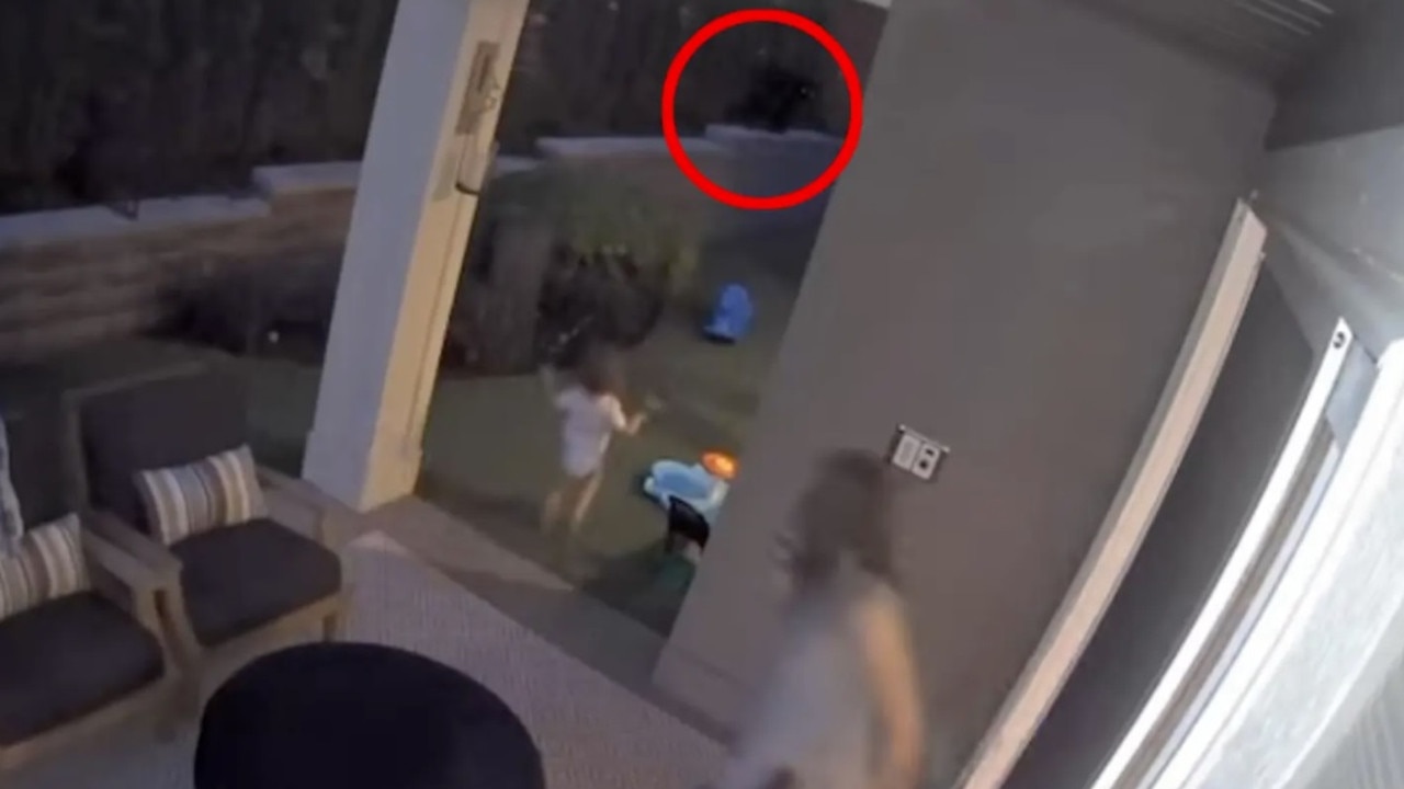 Home security footage shows the young girl walking out the back door as a bear scurries along a cement wall lining the yard. Picture: Samantha Martin via Storyful