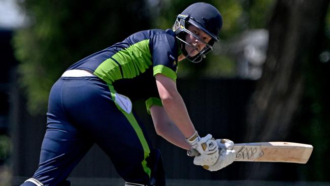 Druids’ Nathan Johnson in action for the VTCA representative team. Picture: Andy Brownbill