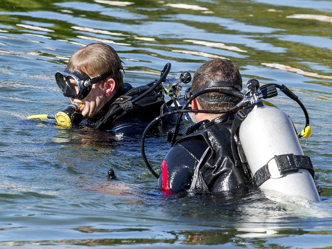 ### Gold Coast Bulletin only Please check with Picture Editor before use ###Gold Coast Council have bought in SeaWorld divers to go  hunting for a  stone fish which has been seen in Evandale Lake.  Picture: Jerad Williams