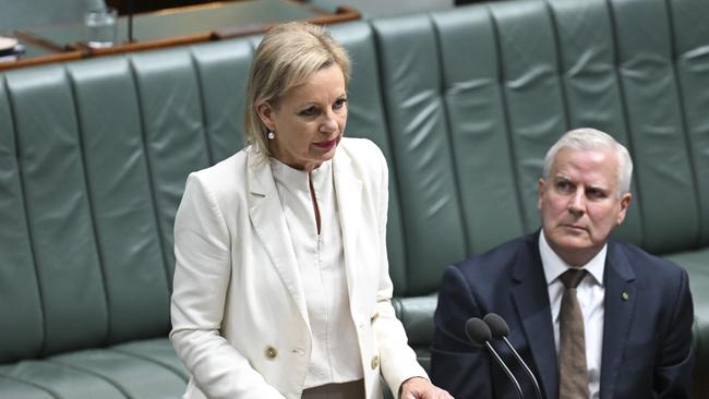 Deputy Opposition Leader Sussan Ley said the bail laws were ‘weak’. Picture: NewsWire / Martin Ollman