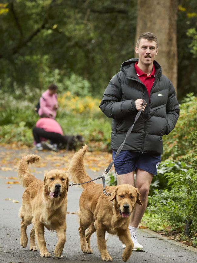 Million Paws Walk in the Adelaide Botanic Gardens, Sunday, May 28, 2023. Picture: Matt Loxton