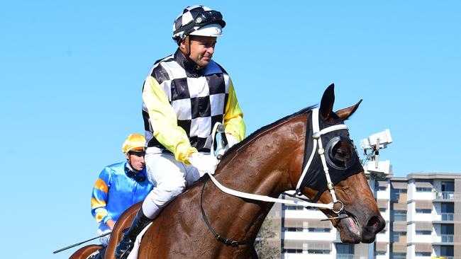 Ballistic Boy will race over his pet distance of 1600m on Friday. Picture: Grant Peters-Trackside Photography