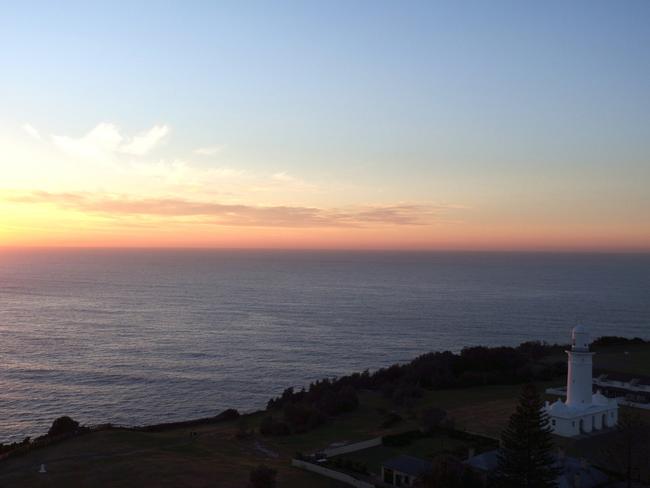 An aerial view over Vaucluse. Picture: Joshua Hulm