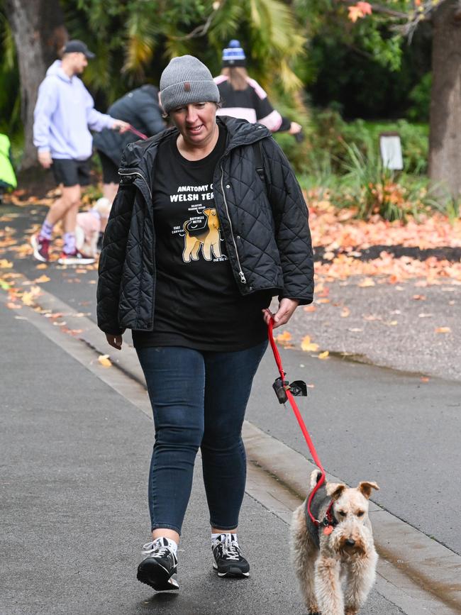 Million Paws Walk at Adelaide Botanic Gardens. Picture: Brenton Edwards