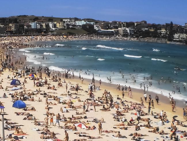 People relaxing at bondi beach on a sunny day