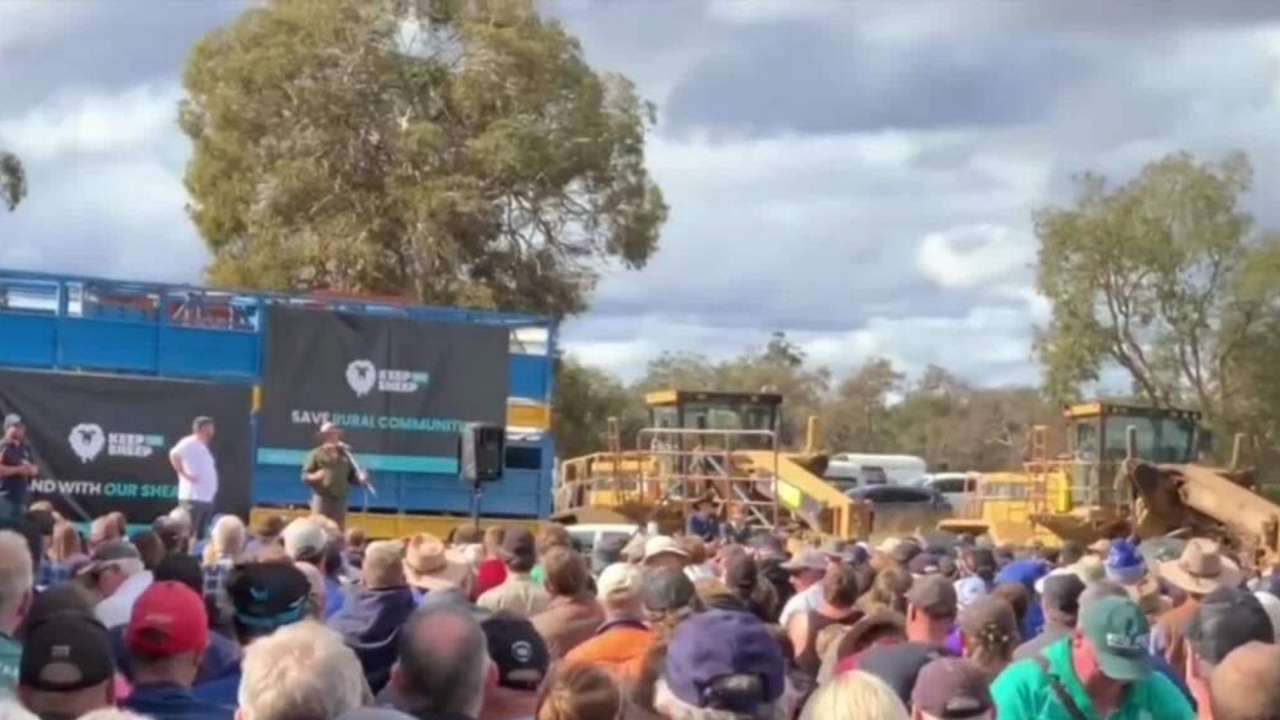 ‘Absolutely huge’: Farmers protest against government’s live sheep export ban