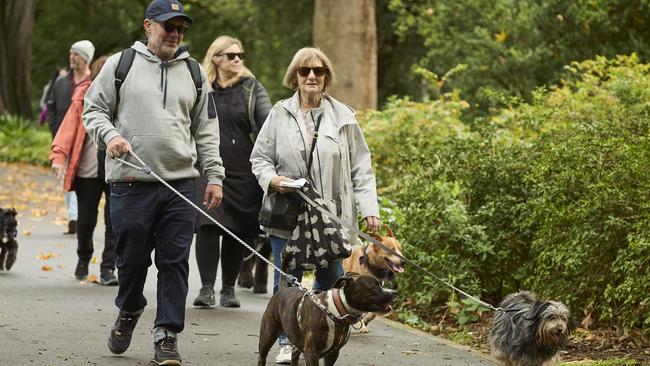 Million Paws Walk at Adelaide Botanic Gardens. Picture: Matt Loxton