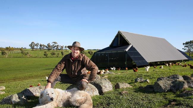 Mobile A-frame hen houses are popular choices for free-range producers. Farmers can also buy custom-built hen caravans and trailers that can be shifted across paddocks. Picture: Andy Rogers