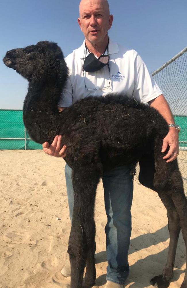 Dr Alex Tinson and one of the 9 cloned babies from Mobrakan. Picture: Supplied