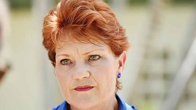 Pauline Hanson Prepares For 10th Election Campaign | News.com.au ...