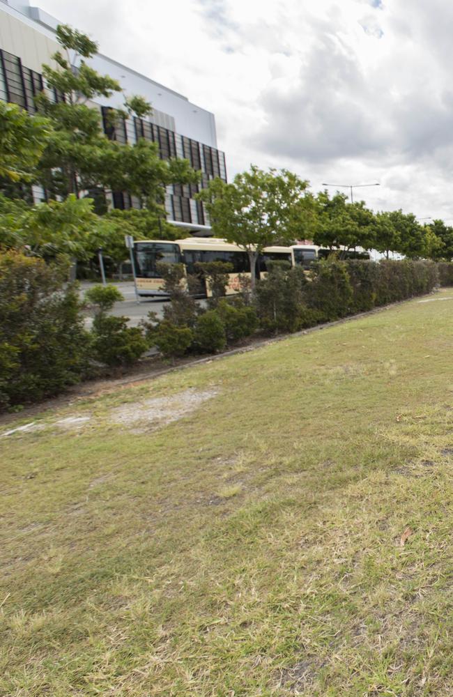 South Brisbane MP Jackie Trad at the Dutton Park school site. Picture: AAP/Richard Walker