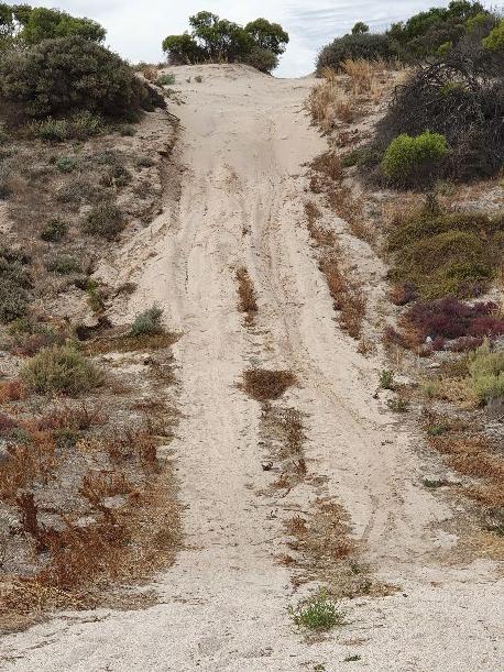 Sand dune damage at Back Beach on Yorke Peninsula.