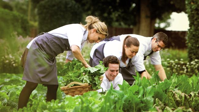 The chefs select produce for dinner.