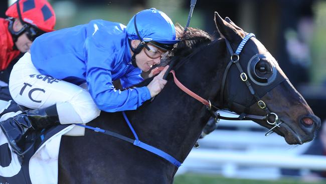 Farolitos usually saves his best for Randwick. Picture: Simon Bullard