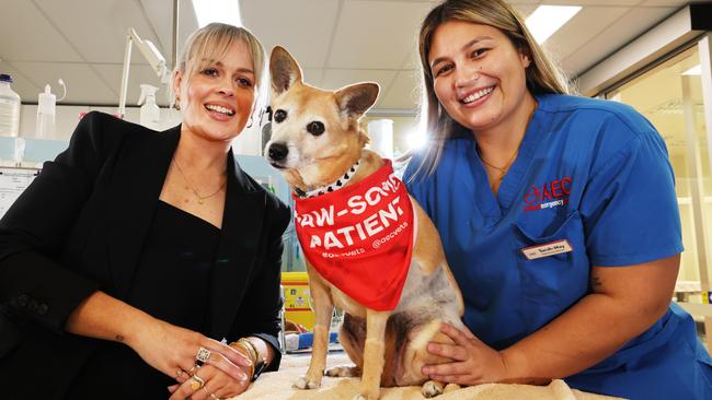 Vet nurse Sarah-May Mattey with Salami the 14 year old Fox Terrier X and her owner Narlena Johnson (left). Salami was saved thanks to another donor. Picture: Glenn Hampson