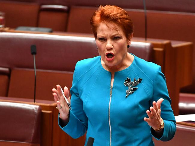 Pauline Hanson’s supporters applaud her for ‘having the guts to say what you’re thinking’. Picture: Supplied