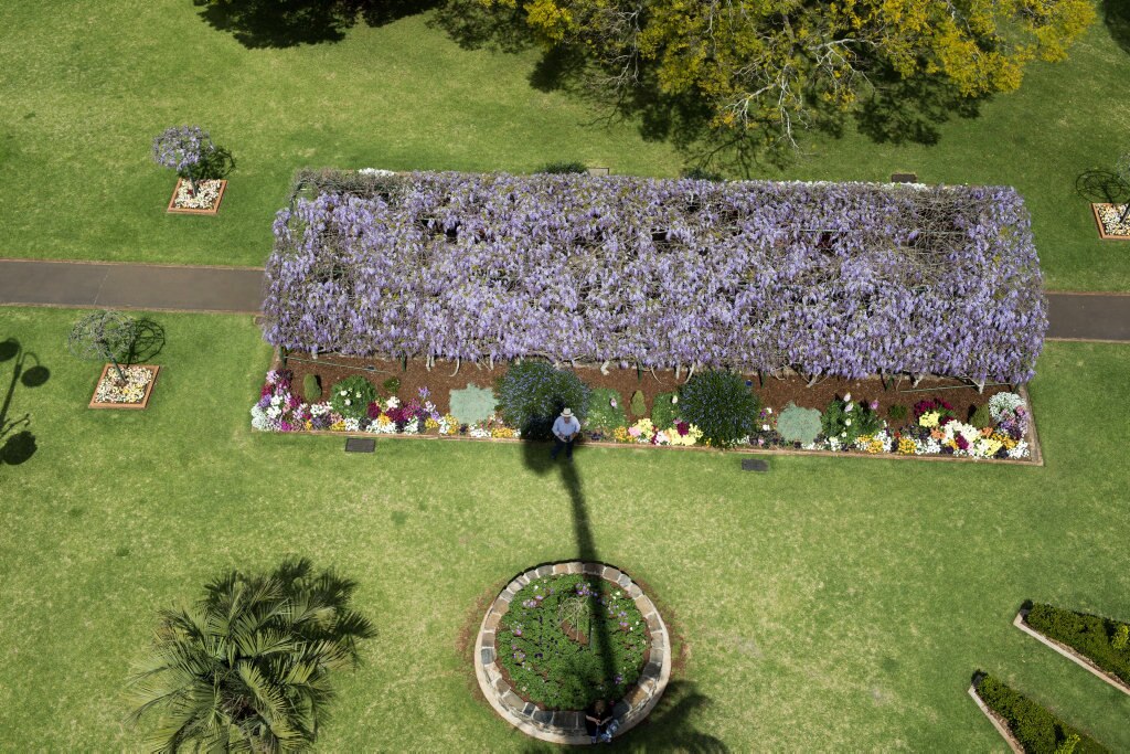 Laurel Bank Park, Carnival of Flowers 2016. Picture: Bev Lacey