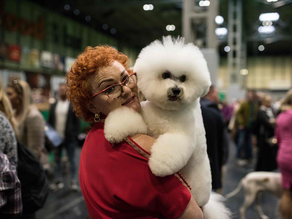 A woman leaves a show ring with her bichon frise dog after taking part in the Eukanuba World Challenge competition on the first day of the Crufts dog show at the National Exhibition Centre. Picture: AFP